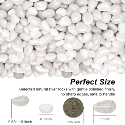 Image of Succulent Rocks,Virekm River Rocks,Decorative Ornamental Pebbles,Garden Landscaping Stones,Gravel Filler for Home Decoration Flower Bed Fish Tank Plants Vases Succulents (1, White, 2 Pounds)