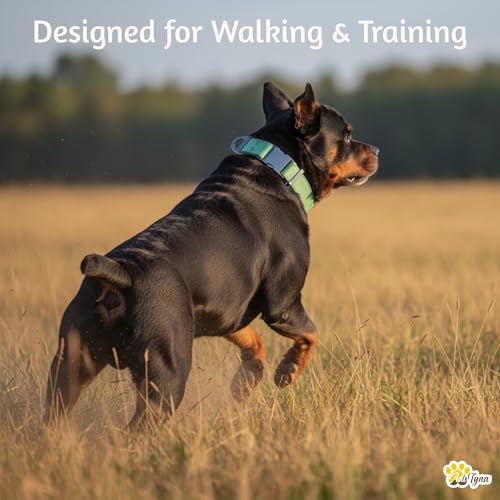 Image of ADITYNA Leather Dog Collar for Large & Extra Large Dogs, Adjustable 19-30 inch | Padded, heavy-duty metal buckle. Great for walking, training - ideal for Rottweiler, German Shepherd, Golden Retriever.