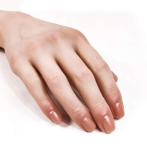 Amazon.co.jp: Podoll ハンドモデル 手 マネキン 模型 トルソー 女性