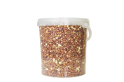 Wild Garden Bird Peanuts 10L
