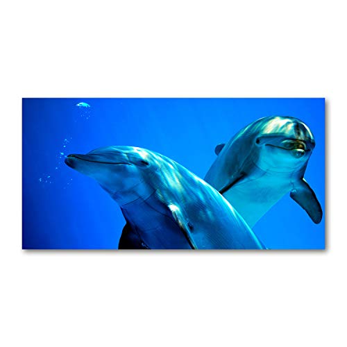Splashback guard cuisine animaux bleu fond de hotte verre 140x70cm