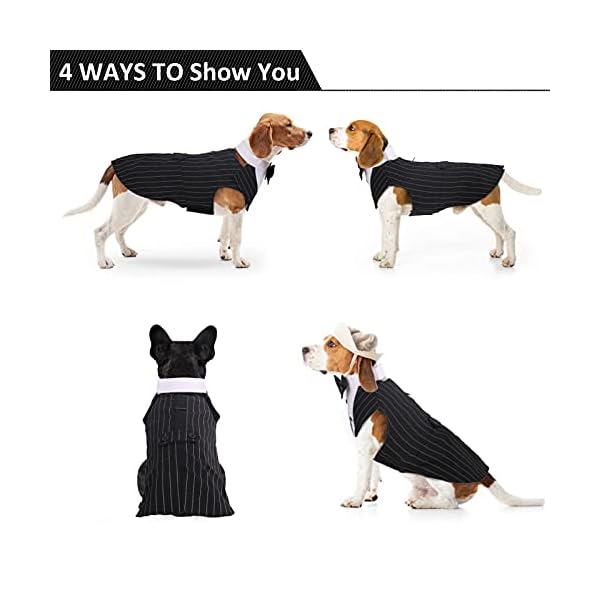 Dora bridal formal dog tuxedo for medium large dogs, labrador pet wedding party suit outfit with detachable bowtie collar neckerchief bandana, dress-up halloween costumes handsome elegant cosplay - image 4