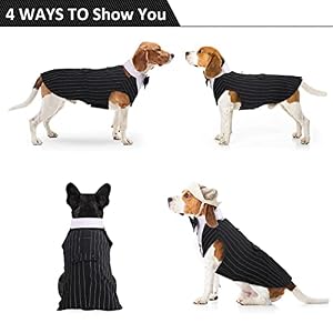 DORA BRIDAL Formal Dog Tuxedo for Medium Large Dogs, Labrador Pet Wedding Party Suit Outfit with Detachable Bowtie Collar Neckerchief Bandana, Dress-up Halloween Costumes Handsome Elegant Cosplay DORA BRIDAL Formal Dog Tuxedo for Medium Large Dogs, Labrador Pet Wedding Party Suit Outfit with Detachable Bowtie Collar Neckerchief Bandana, Dress-up Halloween Costumes Handsome Elegant Cosplay