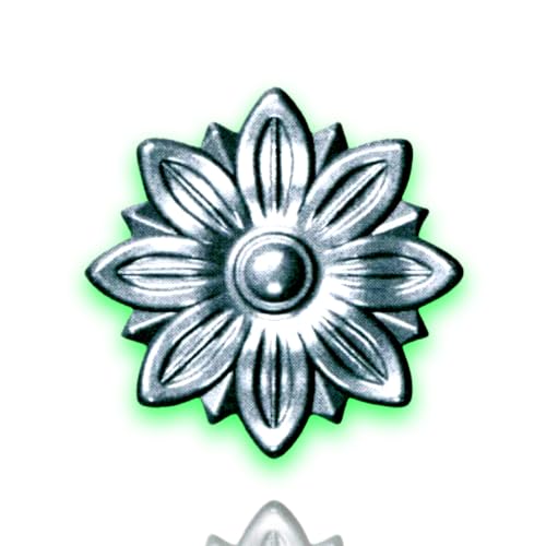 Déco fer Forgé-ROSACE ACIER DECORATION- H55 mm par 55 mm- Pour Porte Portail Portillon battant...