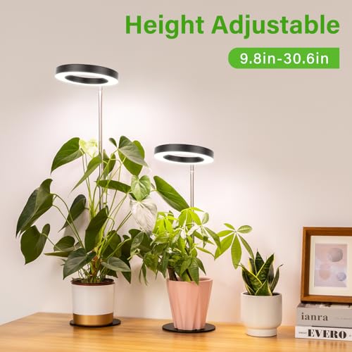 La mejor comparación de Sistemas iluminación automatizados negocio disponible en línea para comprar. 20 Imagen adicional