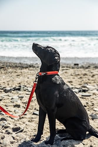 Mountain Paws Waterproof Nylon Adjustable Dog Collar, Sizes Small to Extra Large, Soft PVC Coating, Anti-Odour and Wipe Clean - Image 2