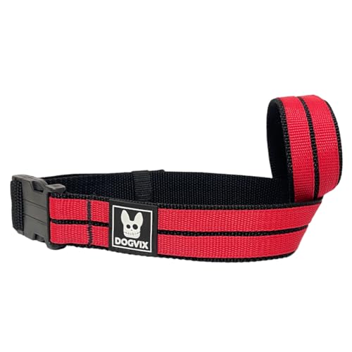 Focinheira Pet Confortável Segura Para Passear Com Cachorro Regulável (G)