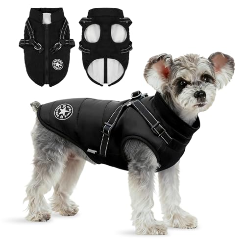 Anzentakai  ~y2025N~̓ozy ȕR[g n[lXt wJ   Ԕ g ybg L   ~ EȒP N ̕ xXg h h  WPbg [hO ^ ^ ^