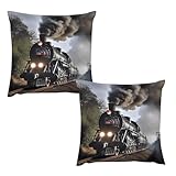 Fermeture éclair dissimulée pratique et entretien facile : une fermeture éclair dissimulée discrète permet une insertion facile des inserts et maintient un aspect sans couture. Ces housses de coussin imprimées train à vapeur sont lavables en machine, ne se décolorent pas et résistent au boulochage, assurant que vos housses de coussin décoratives restent belles et simples à nettoyer.