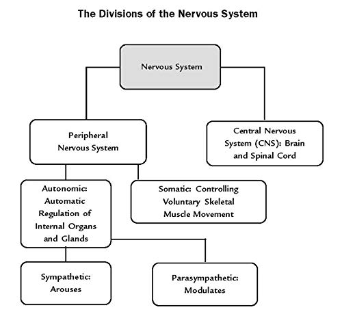 Clep® Introductory Psychology Book + Online (Clep Test Preparation) #TOP4