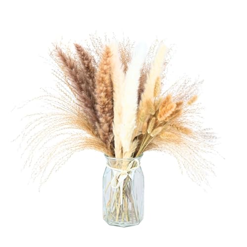 Ramo Grande de Hierba Pampas Natural Secada 40-45cm miniatura 4
