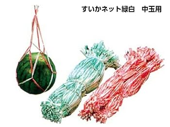 すいか様 Amazon.co.jp: リュック 西瓜柄 スイカ柄 すいか柄 スクール