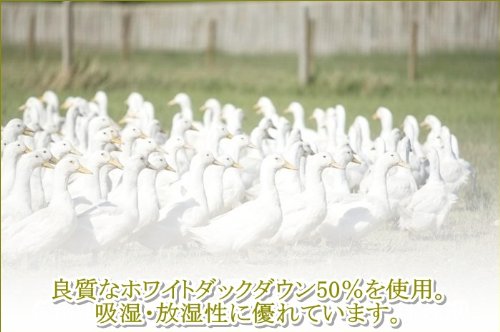 羽毛掛布団(ホワイトダックダウン) nishikawa（西川）直営サイト限定］抗菌羽毛掛けふとん[ダック