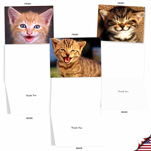 Image of The Best Card Company 10 Assorted Thank You Notes Bulk Box Set 4 x 5.12 Inch with Envelopes (10 Designs, 1 Each) Smitten Kittens M6485TYG