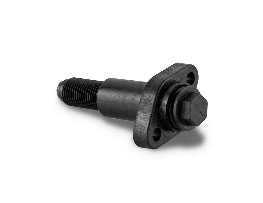 Amazon.com: Can-Am Outlander, Renegade, Commander, Timing Chain 