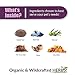 Amber NaturalZ Vibactra Immune Support Herbal Supplement for Dogs, Cats, Birds, Guinea Pigs, and Rabbits | Pet Herbal Blend for Overall Health | 4 Fluid Ounce Glass Bottle | Manufactured in The USA