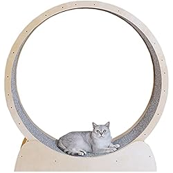 Rueda de Ejercicio para Gatos giratoria silenciosa, Color de Madera Natural, Juguete Deportivo para rascar Gatos para una Vida más Larga del Gatito, caminadora para Gatos con pasad