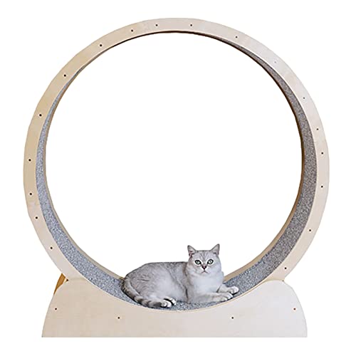 Rueda de Ejercicio para Gatos de Madera Natural