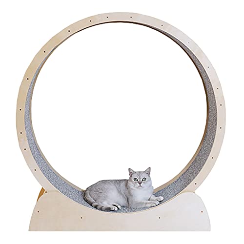 Roue d'exercice Silencieuse pour Chat, Couleur Bois Naturel, Jouet De Sport À Gratter pour Chat pour Une Vie Plus Longue De Kitty, Tapis Roulant pour Chat avec Goupille De Verrouillage De Sé