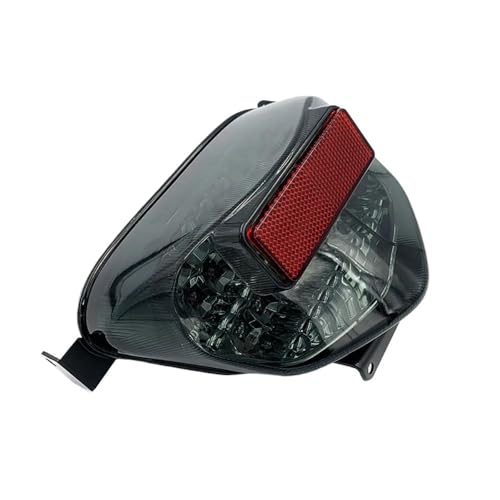 Intermitentes y freno trasero integrado para moto GSX-R 600 K1 con luz matrícula