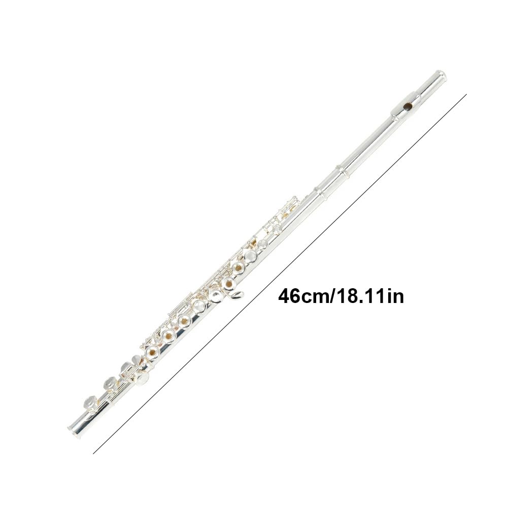 Flauta Travesera Plateada para Principiantes con Estuche Flauta de 16 Llaves en Do Instrument Estudiante