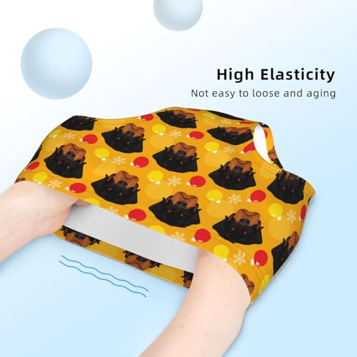 Portrait Of Cute Rottweiler Dog Girls' Underwear Soft Cotton Little Girls Panties Comfort Briefs4