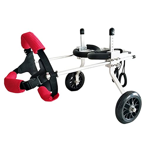 Silla de ruedas para perros pequeños, medianos y gatos con parálisis trasera