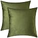 Mixhug Set of 2 Cozy Velvet Square Decorative Throw Pillow Covers for Couch and Bed, Moss Green, 18 x 18 Inches