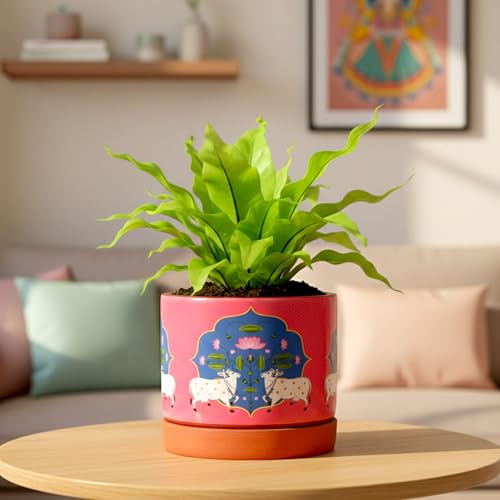 Image of Urban Plant KamDhenu 3D Terracotta Pot with Saucer (4.7 Inch) | Hand-Painted Cow & Lotus Design Planter | Decorative Indoor Plant Pot with Drainage Hole | Premium Clay Planter for Home & Office Decor