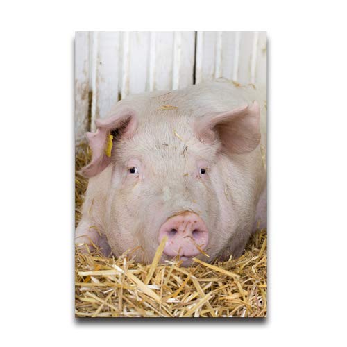 NewPostersWorld Fat White Pig Customized Decorative Creative Art Posters Home Modern Decoration Print Decor for Living Room Custom Poster 16" x 24"