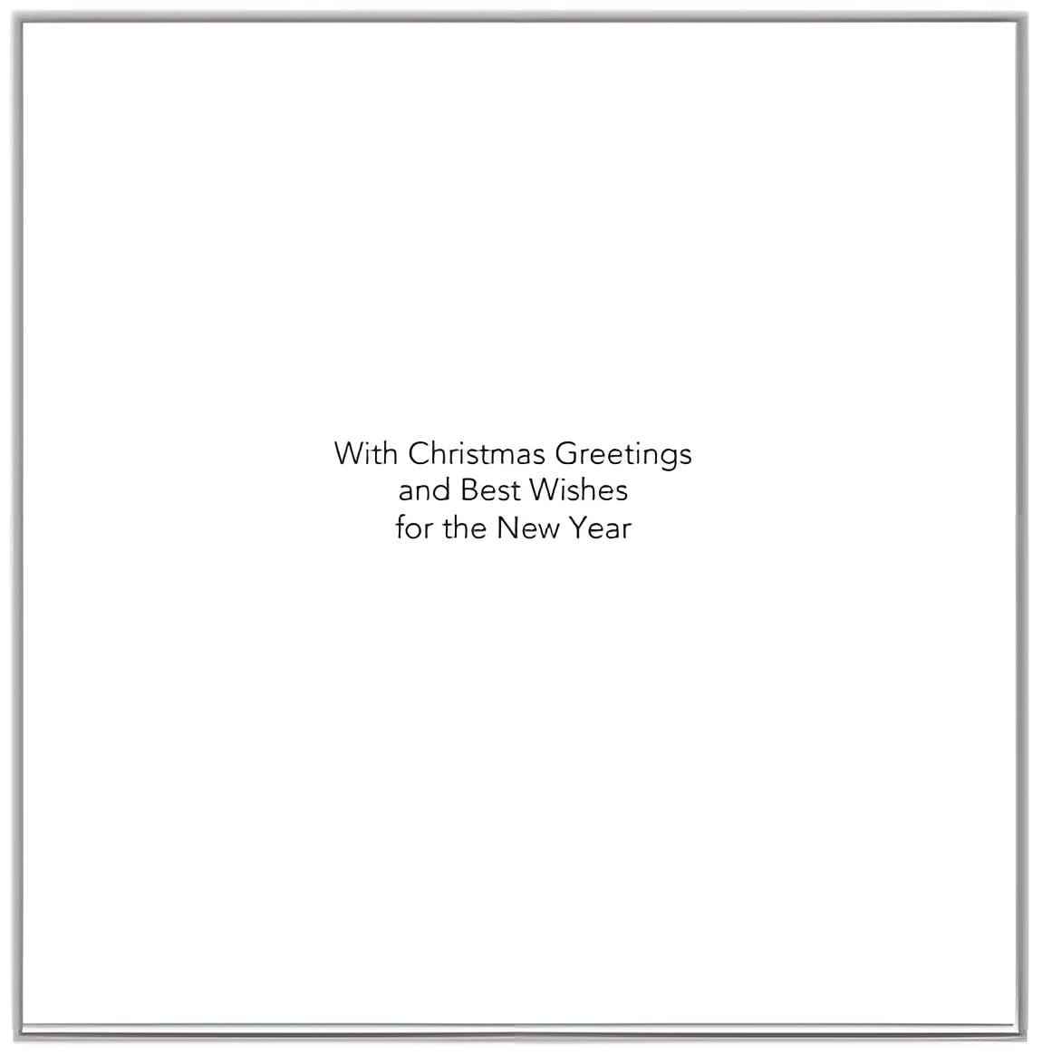 Noel Tatt Charity Christmas Cards Pack of 10, Cute Hedegehogs Carol Singing, Festive Christmas Cards Multipack - Image 2