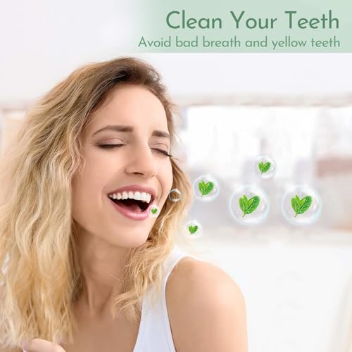 Mauepersu Zahnseide Dental Floss 400 Stück, Einweg Dental Floss, Einwegzahnseide Zahnreinigung Sticks, Disposable Zahnseidensticks/Zahnreiniger Sticks