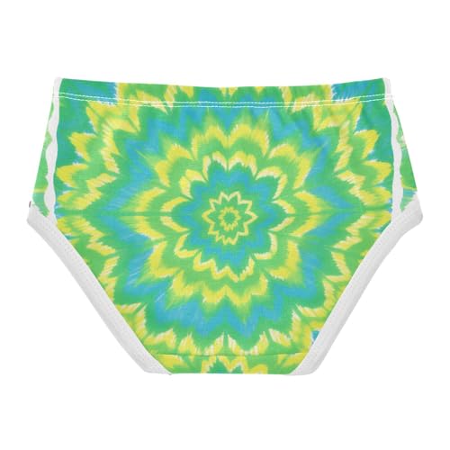 GuoChe Brief Panties Daily Wear Panties Breathable Underwear for Kids in Sizes 2T,3T, 4T, 5T, 6Y and 8Y2