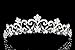 Bridal Flower Rhinestone Crystal Wedding Prom Tiara Crown T976