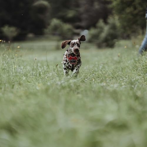 HUNTER DIVO Hundegeschirr, L-XL, 79-107 cm, grau/grau