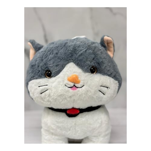 Image of ADORA Cute Cat Soft Toy | Super Soft Stuffed Cat Plush Teddy | Adorable Small Cat Teddy Bear for Kids & Girls for Birthday & Special Occasions