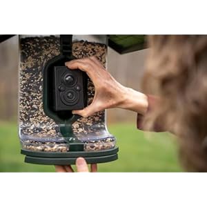 Scout Wi-Fi Solar Powered Smart Bird Feeder - Automatically Captures HD Pictures and Videos! Best Gift for Bird Watchers! Dual Seed Chamber - Feather Snap Scout Wi Fi Solar Powered Smart Bird Feeder Automatically Captures HD Pictures and Videos Best Gift for Bird Watchers Dual Seed Chamber Feather Snap