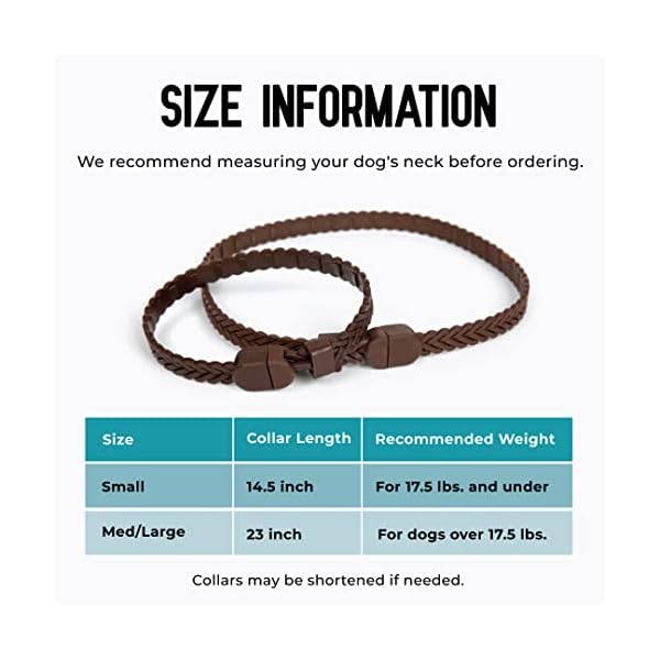 ACTIVPHY-Hip-Joint-Mobility-Collar-with-Glucosamine-Chondroitin-MSM-and-More-Convenient-Easy-30-Days-of-Continuous-Support-Water-Resistant-MedLarge ACTIVPHY Hip + Joint Mobility Collar with Glucosamine, Chondroitin, MSM, and More - Convenient & Easy - 30 Days of Continuous Support - Water Resistant (Med/Large)