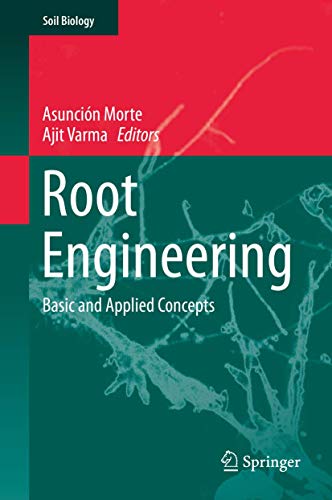 Root Engineering view 2