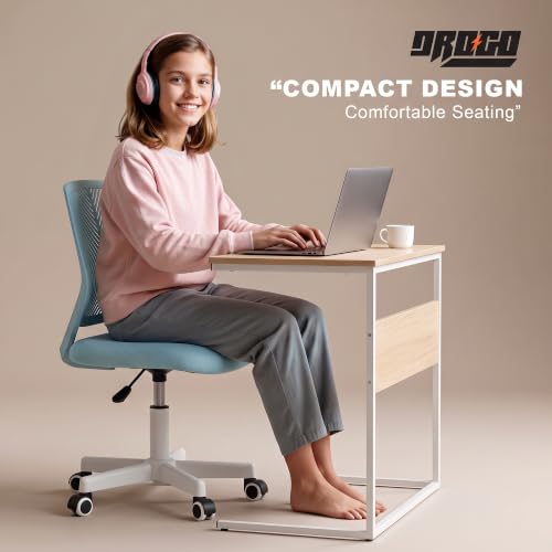 Image of DROGO Nova Ergonomic Office Chair, Armless Mesh Desk Chair with Breathable Backrest & Height Adjustable Seat, Soft Cushioned Computer Chair for Home, Study & Bedroom, 1 Year Warranty (Blue)