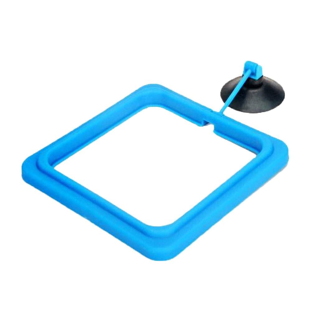MYADDICTION Fish Food Feeding Ring Aquarium Feeding Circle Ring Fish Tank Fish Feeder Blue Square