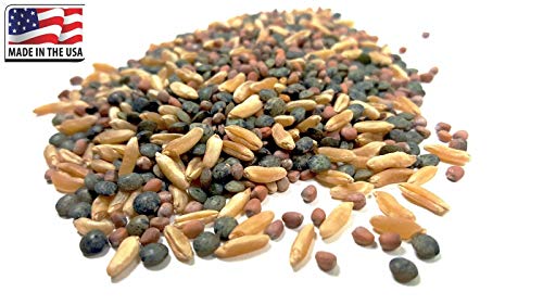 GETSO Seeds Package: 6G 150 Seed Only, No Lid : Daikon Kamut Lentils Lentils Sprouting Seed Usda