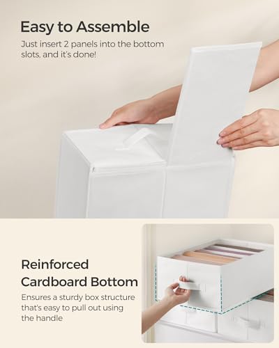 Image of SONGMICS Set of 6 Large Size Wardrobe Clothes Organizers, Cloud White | 6-Compartment Foldable Drawer Organizers with Handles, 16.5 x 11.8 x 6.7 Inches, for Pants, Sweaters, Jeans URUS009W03