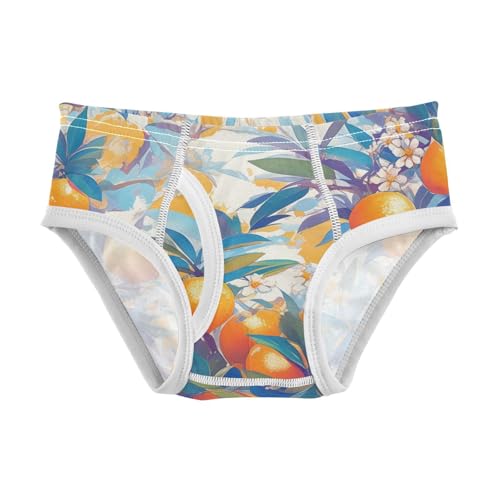 KLL Floral Pattern Orange Fruits Little Boys Comfort Underwear Breathable Undies