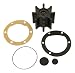 Sierra International, 18-3077, Impeller Kit , white