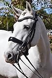 Tota Comfort System Cayman Double Bridle - Dressage Bridles for Horses, Tota Comfort Noseband,...