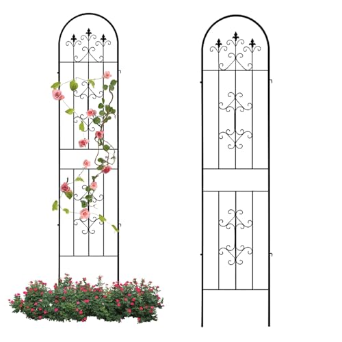 Eisenspalier für Kletterpflanzen, Eisengarten-Spalierbogen zum Klettern von Gemüse, Blumen, Terrassenrosen, Gurken, Clematis(Color:Black,Size:180 * 50CM/70.9 * 19.7in)
