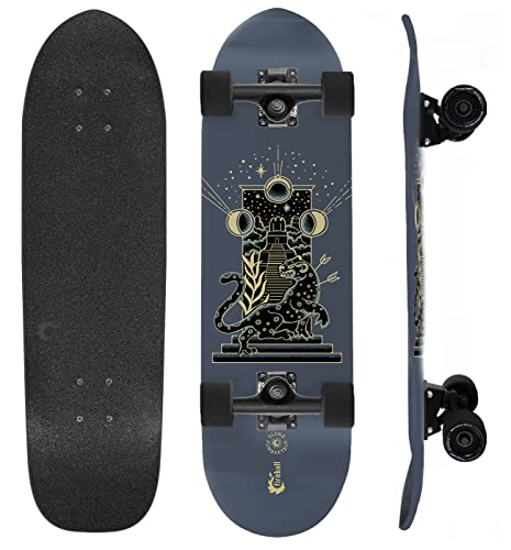 Fireball Complete Cruiser Skateboards for Adults & Kids - Fully Assembled in USA - 29 x 8.25 in - Limited Edition Mini Cruiser Longboard for Cruising & Commuting (Elena FX)