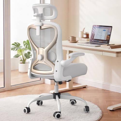 CASASIO Ergonomic Chair