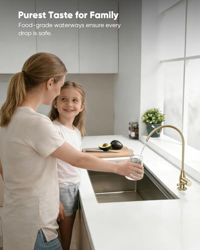 Image of WEWE Vintage Drinking Water Faucet, Lead-Free Stainless Steel Kitchen Water Filter Faucet for Reverse Osmosis System, Non-Air Gap RO Beverage Faucet, Gold